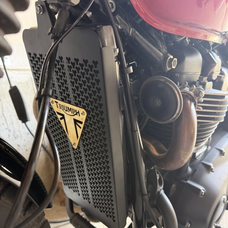 radiator grill for Triumph (2016+)