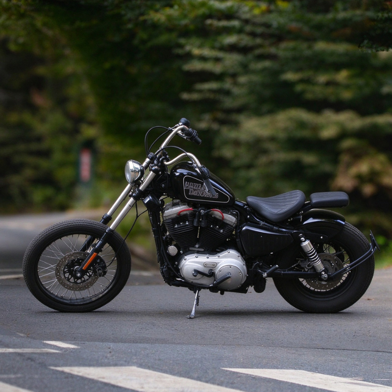 Rider Seat + 3‑in‑1 Passenger Kit — Harley-Davidson Sportster