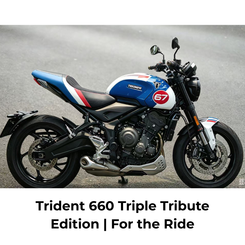 Custom Seat for Triumph Trident 660