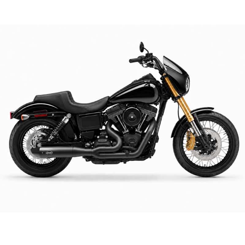 Harley Davidson DYNA inverted forks