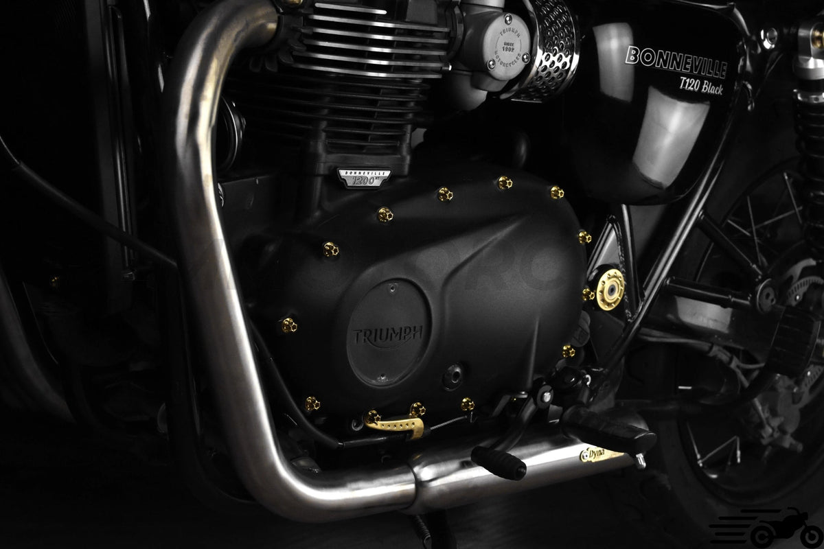 Echappement court Triumph Bonneville T100 T120 