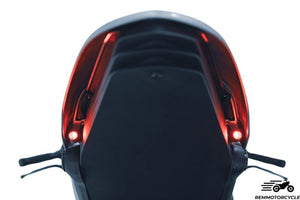 BMW R9T Rear Fender with Integrated LED Taillight