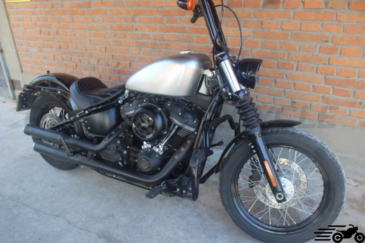 Harley Softail 12L Peanut Tank