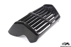 BMW R 18 Carbon Belly Pan