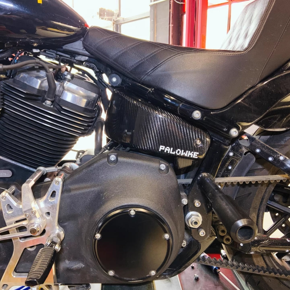 Softail Carbon battery Cover