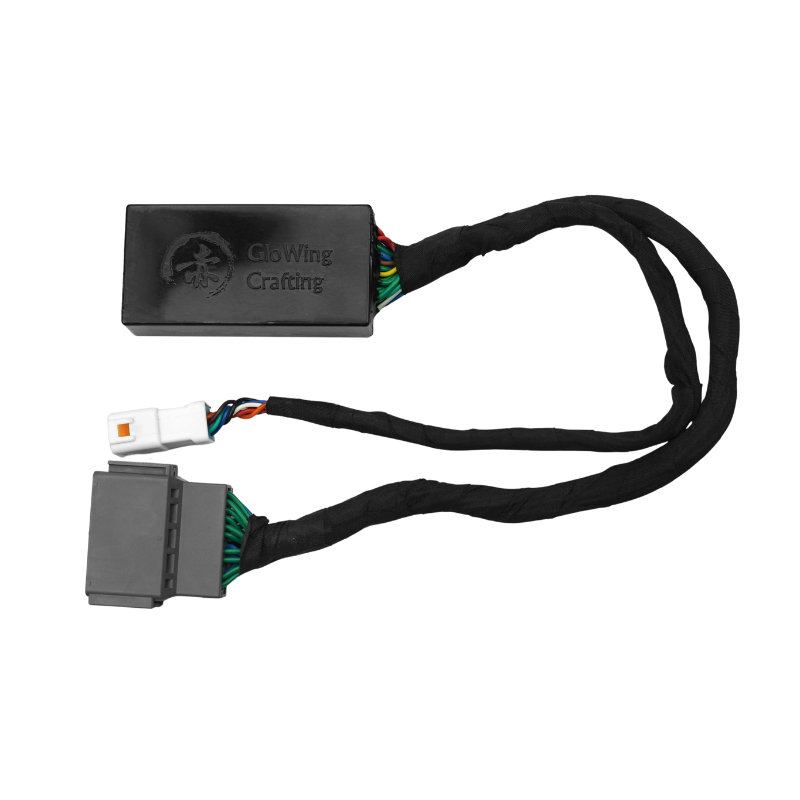 Motogadget Protocol Box – Triumph