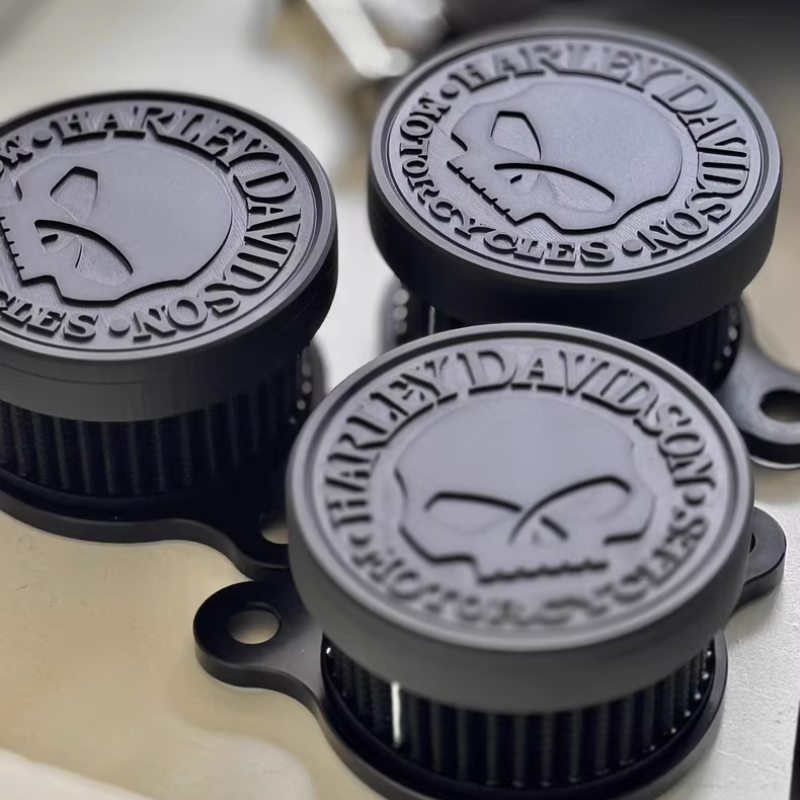 Black Skull Air Cleaner Kit