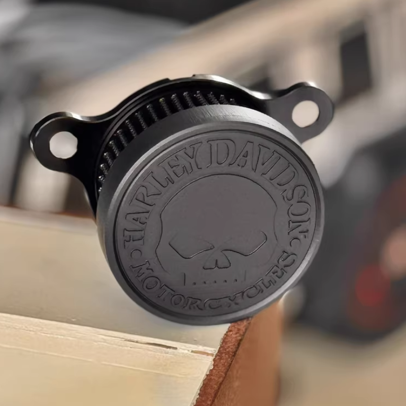 Black Skull Air Cleaner Kit