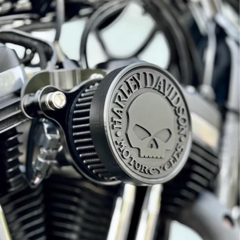Black Skull Air Cleaner Kit