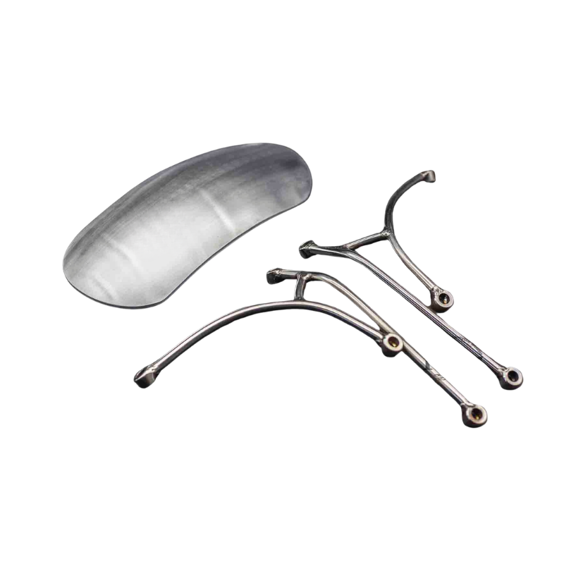 Short front fender with stainless bracket for Scrambler 1100