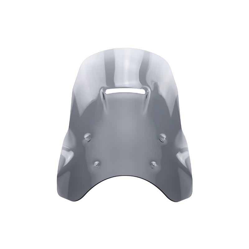 Tall 49 cm Windshield for BMW R1300GS/ADV