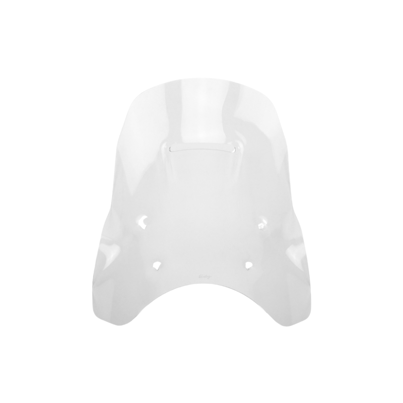 Tall 49 cm Windshield for BMW R1300GS/ADV