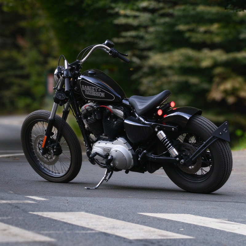 Rider Seat + 3‑in‑1 Passenger Kit — Harley-Davidson Sportster
