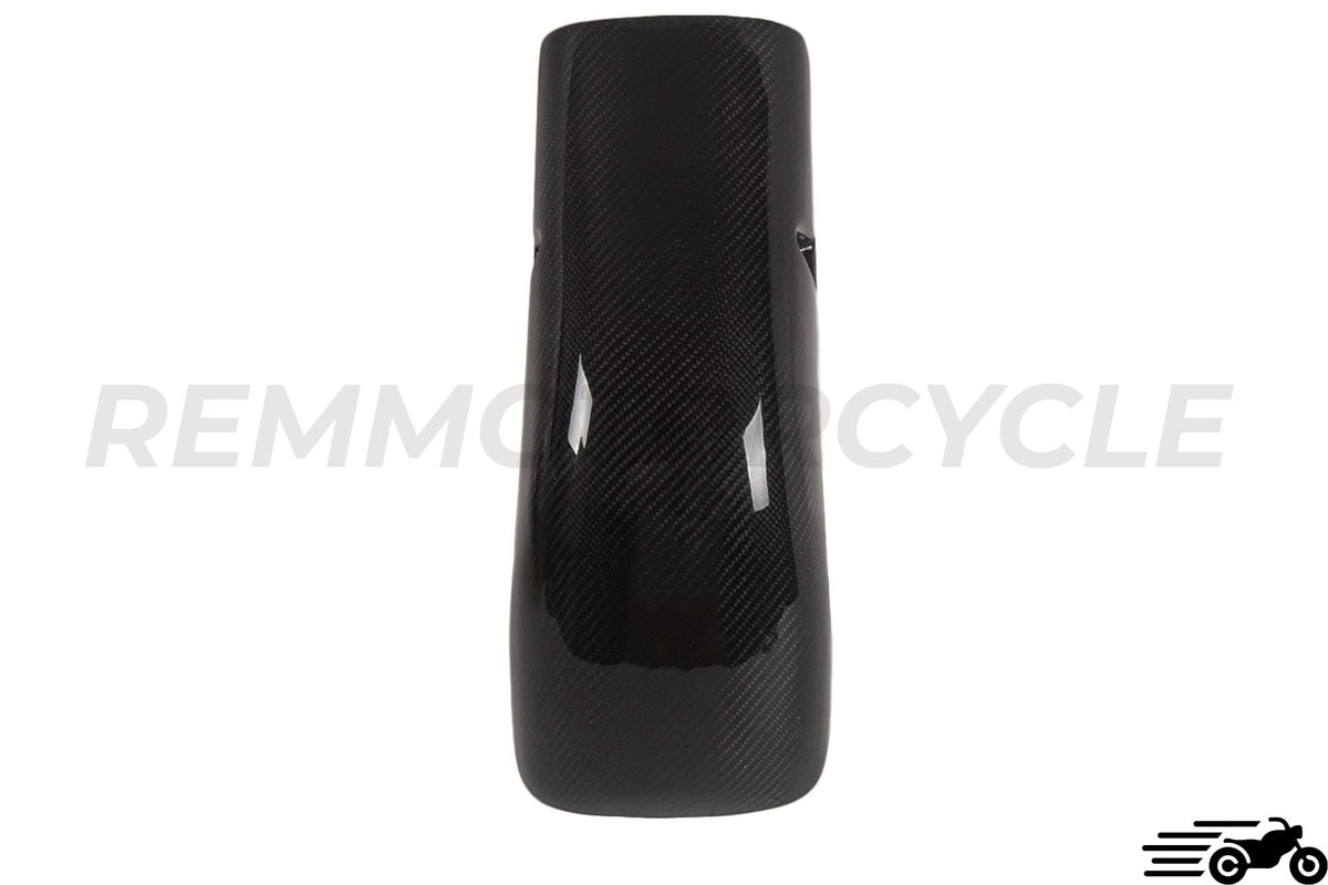 BMW R Series Carbon engine cover