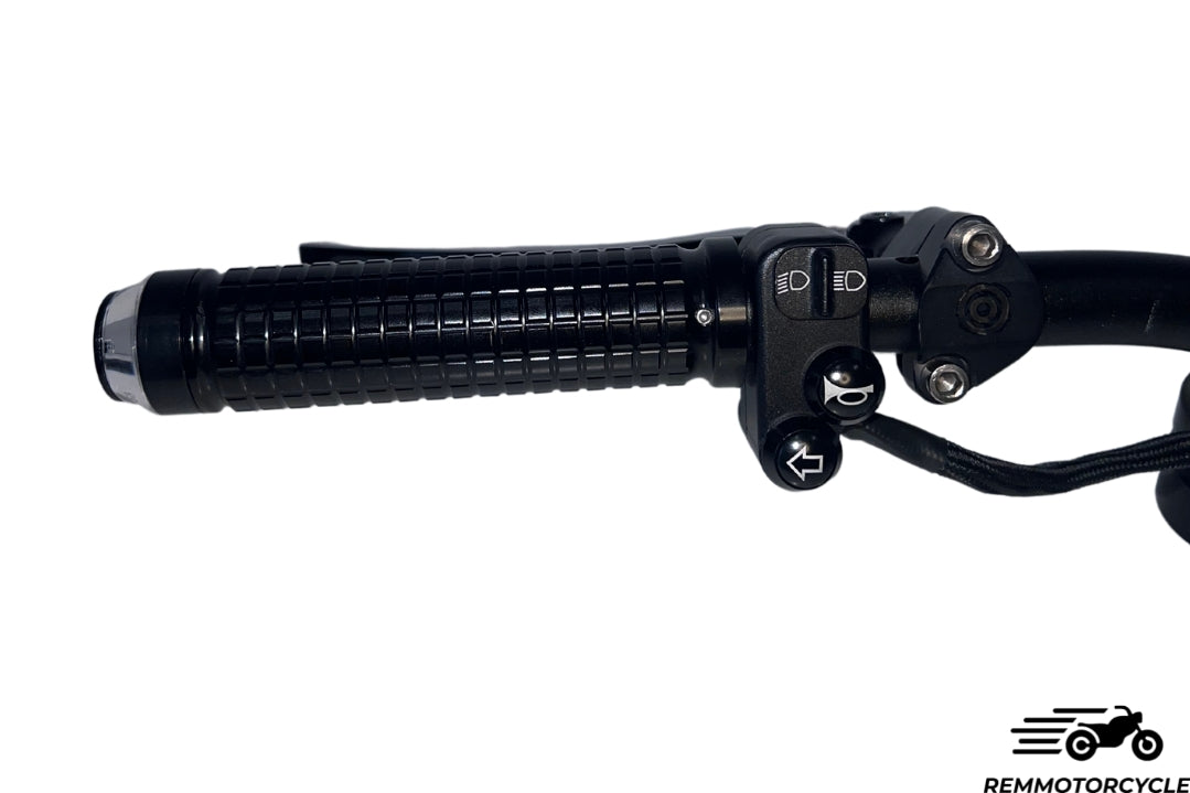 Handlebar switches controls - REM