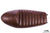 Seat Racing 2 with LED belt buckle brown