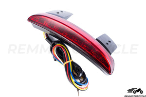 Fender taillight with turn signal Harley Sportster XL